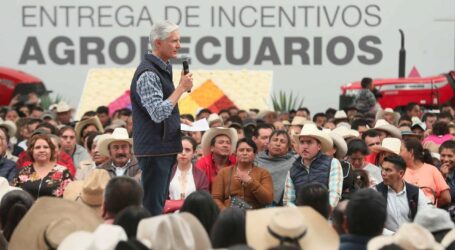 15 municipios tienen denominación de origen del mezcal: ADM