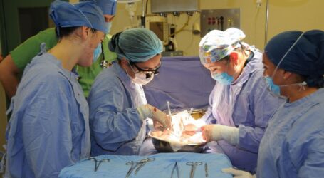 OCUPA EDOMÉX 1er. LUGAR NACIONAL EN DONACIÓN DE ÓRGANOS Y TEJIDOS