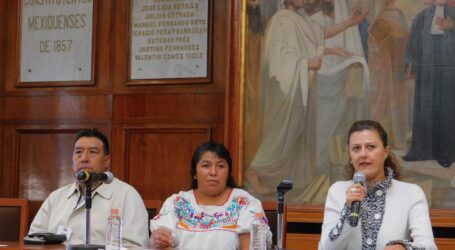 LLAMA MONICA ALVAREZ A ACTUAR PARA EVITAR UN SAN JUANICO TOLUCO