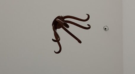 Duchamp-Koons en el Jumex (II): Ducham y el ready made