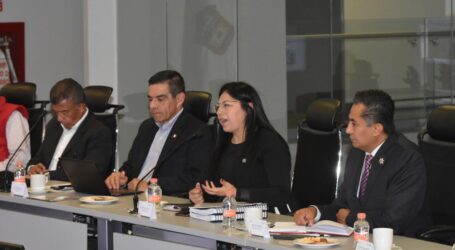 ACCIONES CONJUNTAS PARA DISMINUIR  INCIDENCIA DELICTIVA QUE AFECTA AL SECTOR EMPRESARIAL