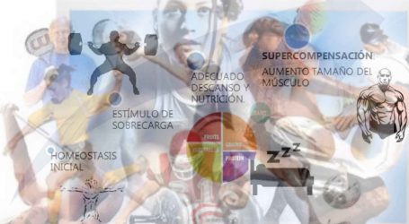 Principios fundamentales del entrenamiento deportivo: Individualización y sobrecarga