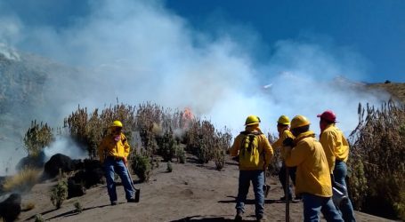 SOFOCA GEM INCENDIO FORESTAL EN REGIÓN IZTA-POPO