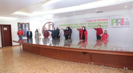 GANAR LAS ELECCIONES, OBJETIVO DEL PRI: AMV