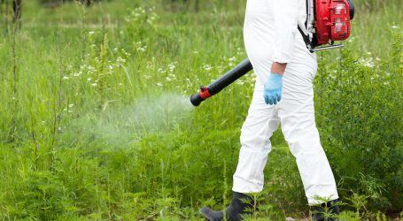 Universitaria investiga para degradar toxicidad de herbicida