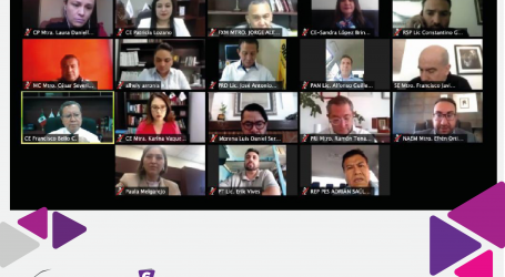 APROBÓ IEEM REGISTRO SUPLETORIO Y DIGITAL DE CANDIDATOS