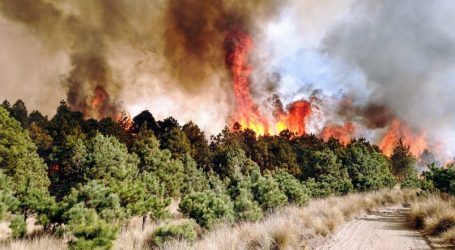 ATIENDE PROBOSQUE 447 INCENDIOS EN LO QUE VA DE 2021