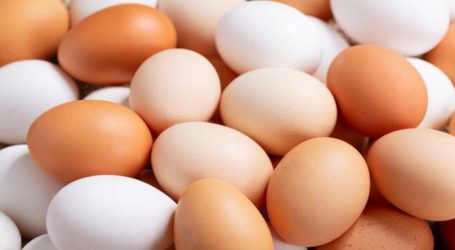 Home Run Inflacionario: 12.21% Inflación no subyacente