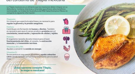 La Tilapia mexicana, una excelente opción para disfrutar en cuaresma