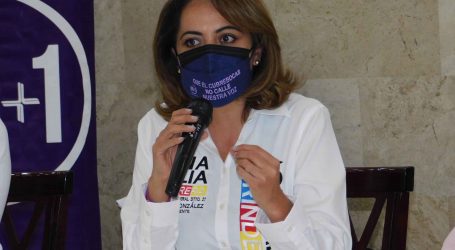 EN 3 AÑOS HEMOS RETROCEDIDO EL EQUIVALENTE  A 30 EN MATERIA DE SALUD: ANA LILIA HERRERA