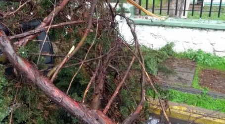 Atienden PC y Bomberos de Toluca encharcamientos e inundaciones