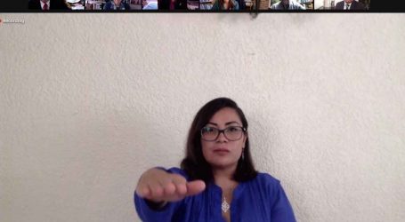 NUEVOS MOVIMIENTOS SOCIALES HAN LOGRADO DERECHOS EFECTIVOS EN EL ESPACIO PÚBLICO DE LA CIUDAD DE TOLUCA