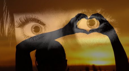 Firma el contrato de tu vida y ¡Navega capitán! (Segunda Parte)