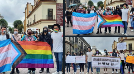 DE DEMOCRACIA, DIVERSIDAD Y PROTESTAS EN EL PRIMER PERIODO DE LA LXI LEGISLATURA