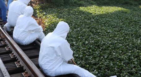 REALIZAN ACCIONES DE BÚSQUEDA EN CUERPOS DE AGUA