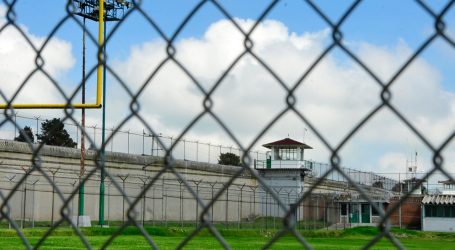 PECHUGA CORDON BLUE Y CERDO EN TAMARINDO  CENARÁN EN PENALES EN NAVIDAD Y AÑO NUEVO