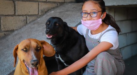 PROMUEVE ASISTENCIA SOCIAL RESCATE DE MASCOTAS
