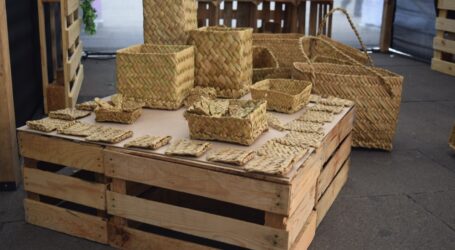 PRODUCEN MANOS MEXIQUENSES ARTESANÍAS DE TULE