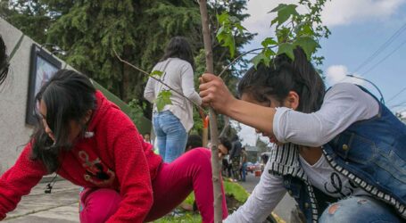 Necesario que ciudades cuenten con áreas verdes y zonas arboladas