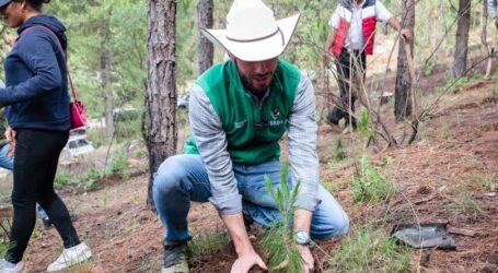 Arranca PVEM mega reforestación en el Estado de México
