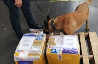 DECOMISAN 50 KILOS DE APARENTE PRECURSOR QUÍMICO PROCEDENTE DE CHINA
