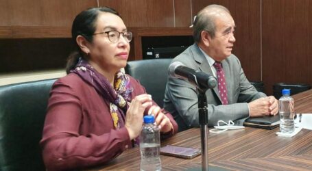 SOSPECHAN DE ACUERDO EN LO OBSCURITO PARA DIRIGIR MORENA