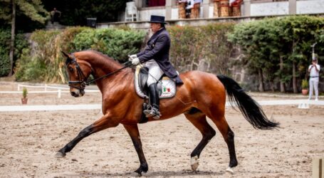 RECIBE CONDADO DEL VALLE METEPEC TERCERA FECHA DEL CONCURSO DE DRESSAGE 2022