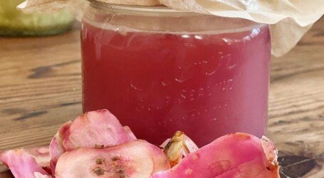 COLONCHE, BEBIDA PARECIDA AL PULQUE PERO ES COMO LA CERVEZA DEL PASADO