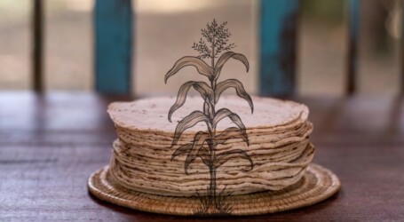 Dieta de la milpa, factor clave en la salud de adultos mayores