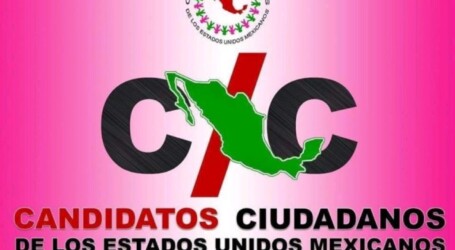 +Quiere usted ser candidato a diputado o presidente municipal por la vía independiente, aquí le damos a conocer los requisitos que tiene que cubrir; Pedro Kumamoto y Jaime Rodríguez, los ejemplos