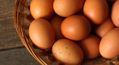 México domina la producción y el consumo de huevo a nivel Latinoamérica