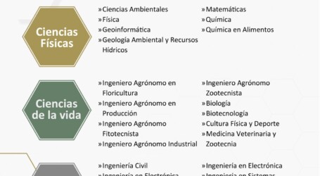 UAEMéx, entre las mejores del país en las áreas de Ciencias Físicas, Ciencias de la Vida e Ingeniería