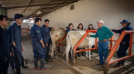 Investigadores de la UAEMéx en Amecameca trabajan en la recuperación de suelos agrícolas