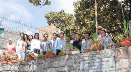 SE INSTALA COMITÉ GUARDIÁN DEL ÁRBOL DE LAS MANITAS
