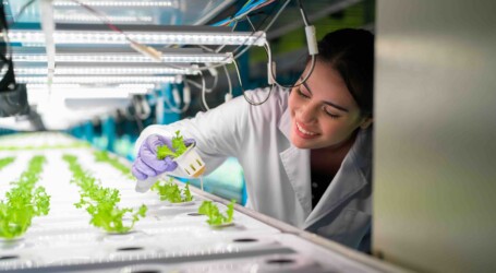 Importancia de la Investigación Temprana
