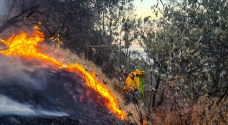 SIN DAÑOS NI HERIDOS, FUE SOFOCADO EN INCENDIO EN LA TERESONA