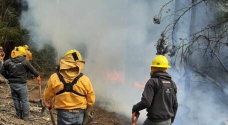 Abaten incendios al 95% en Izta-Popo y Donato Guerra