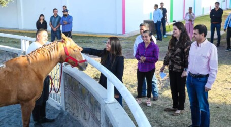 CONSULTAS Y MEDICAMENTOS GRATIS EN LAS CLÍNICAS SALUD DIF TOLUCA