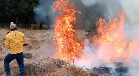 EXTINGUIDOS 40 INCENDIOS FORESTALES POR LA BRIGADA TOLUCA
