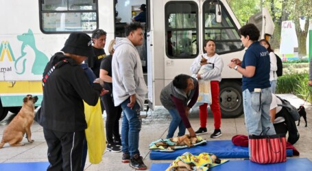 REPORTA CCyBA 5 MIL ESTERILIZACIONES DE PERROS Y GATOS
