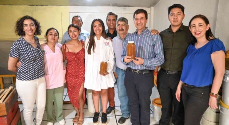 PRODUCCIÓN SOSTENIBLE DE MIEL PURA Y DE CALIDAD EN TOLUCA