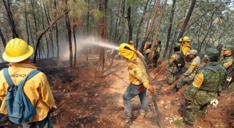 Brigadas tripartitas atienden incendio forestal en Valle de Bravo