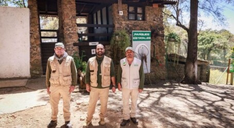 Alberto Reyes Chavarría, egresado UAEMéx apasionado por la conservación de la fauna silvestre; destaca el cuidado al lobo gris mexicano