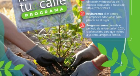 ¡ARBORIZA TU CALLE, ARBORIZA TOLUCA!