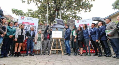 ÁRBOL DE LAS MANITAS YA ES PATRIMONIO TOLUQUEÑO