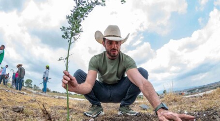 Anuncia PVEM reforestación de 715 mil 896 árboles, uno por cada Voto Verde en Edomex