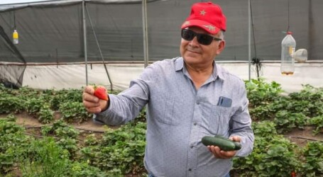 José Gonzalo Pozas Cárdenas, investigador UAEMéx, incentiva la implementación de zonas agroecológicas para el rescate ambiental
