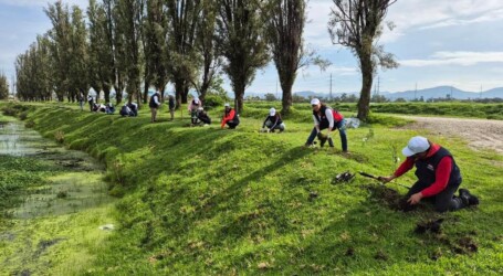 Cerca de 1,400 árboles fueron plantados en favor del cuidado del medio ambiente : CMIC