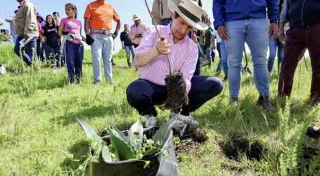 SAN PABLO AUTOPAN REFLEJO DEL COMPROMISO AMBIENTAL DE TOLUCA