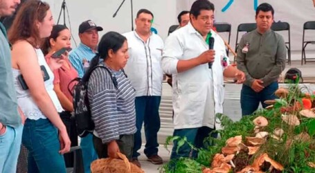 Realizan la Décima Feria Mazahua del Hongo en Donato Guerra